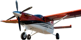 Kodiak 100